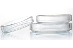 Чашка Петри, боросиликатное стекло, диаметр 200 мм