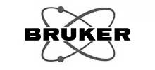 Bruker