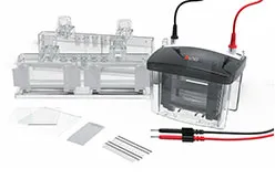 Камера для вертикального электрофореза DL-Mini04