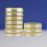 Хромогенная питательная среда для определения энтерогеморрагического штамма E. сoli O157:H7, E.Coli O157:H7 Chromogenic Medium, в чашках Петри