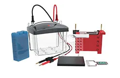 Камера для вестерн-блоттинга DL-ZY03