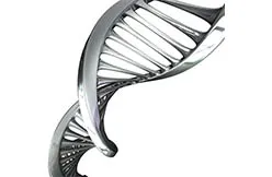 CO2-инкубаторы BINDER помогают в изучении коронавируса